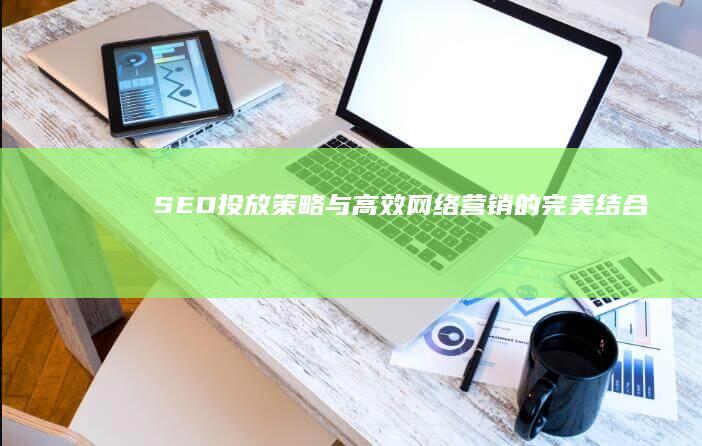 SEO投放策略与高效网络营销的完美结合